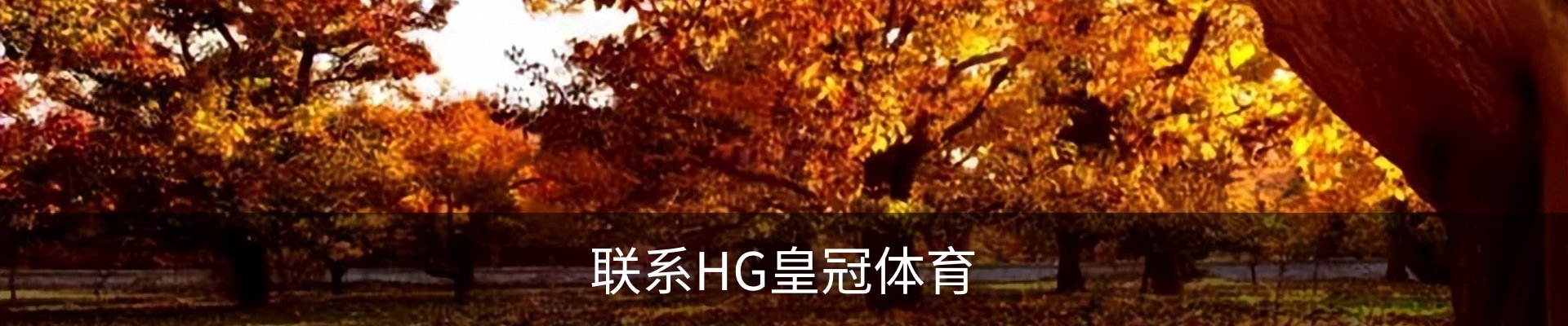 联系HG皇冠体育
